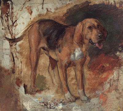 Study of a Bloodhound by William Holman Hunt